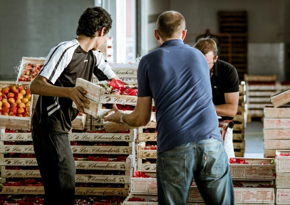 « MIN' d'Emplois » : le Grand Marché de Toulouse ouvre ses portes aux candidats