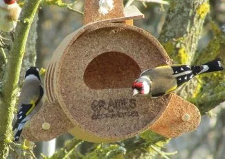 Dans le Gers, Gasco sème à tout va pour les oiseaux 