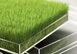 Résolution n°1 : Je préserve la planète