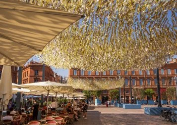 En ce début de mandat, un (petit) rafraîchissement pour « Toulouse plus fraîche » 