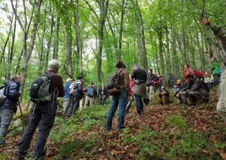 Projet de scierie à Lannemezan : en hêtre ou pas ? 