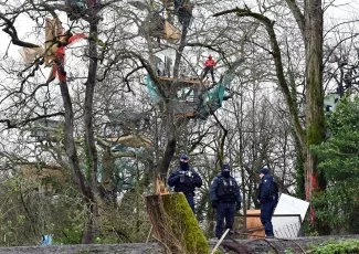 Des « oeuvres d'arbre » face aux gendarmes sur le tracé de l'A69