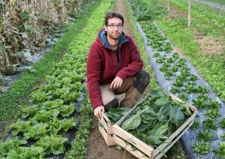 En Occitanie, une plateforme digitale pour favoriser la livraison de produits frais locaux
