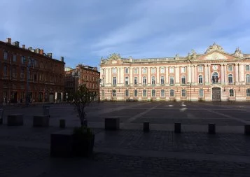 Covid-19. Toulouse nue