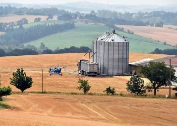 Les difficultés des producteurs de blé dans le Lauragais