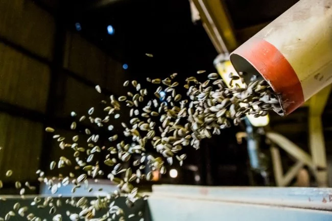 Actus Occitanie - %##23@