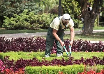 Les métiers des espaces verts en Occitanie