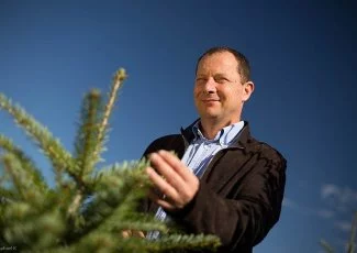 En Ariège, le bio sapin roi des forêts