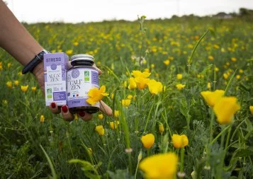 Les Jardins d'Occitanie dévoilent les secrets de leurs plantes médicinales 