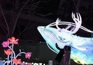 Festival des lanternes de Montauban