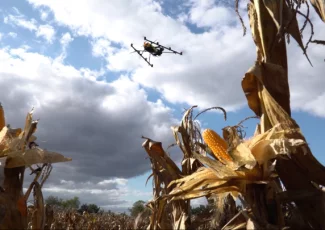 Spatial. Depuis Toulouse, Telespazio accélère la détection des mauvaises graines par drones