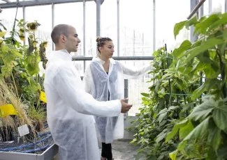 Micropep Technologies lève 4 millions d'euros pour développer son alternative aux intrants chimiques
