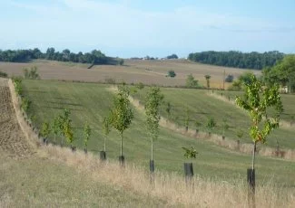 Antargaz et Coca Cola financent la plantation de 8000 arbres sur le bassin Adour-Garonne