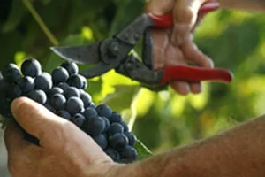 Actus Occitanie - %##23@