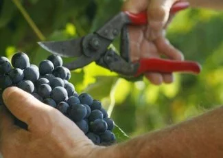 Agri - Agro : le champ des possibles