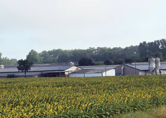 Le producteur d'œufs Gallès donne la chair de poule aux habitants de Lescout 1/2