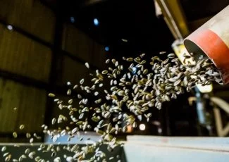Occitanie. La rétro éco de l'été 2020