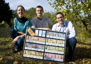 Toulouse : Pour buzzer, Abeilles mise sur le jeu