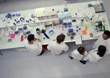 Montpellier. MedinCell veut lutter contre les moustiques porteurs du paludisme