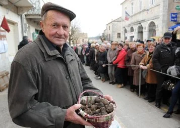 Depuis Lalbenque, le monde de la truffe se restructure en Occitanie