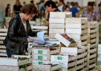 Toulouse : une mine d'emplois à creuser sur Le Grand Marché