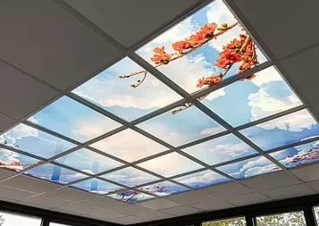 France Bleu Hérault. Des dalles lumineuses contre la morosité du Covid-19 à Lavérune