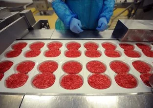 Suspicion d'E.coli chez Spanghero : fausse alerte
