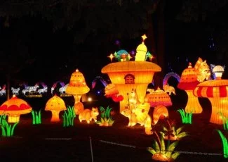 Festival des lanternes : succès féerique pour la ville de Gaillac